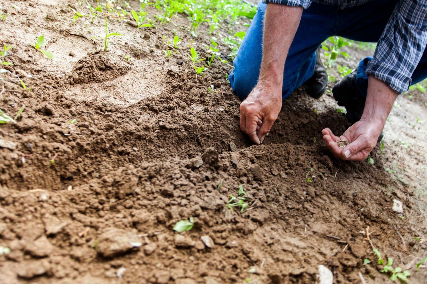 How Microplastics in the Soil Contribute to Environmental Pollution