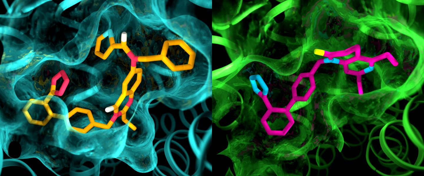 Angiotensin II Receptors