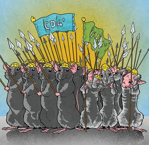 Aging Causes Cell Coordination Breakdown