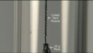 Spinning a Yarn: Twisting Motion Makes Artificial Muscles (9 of 12)