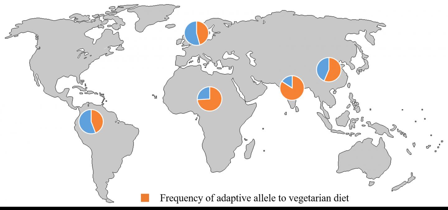 Vegetarian Diet Driving Evolution?