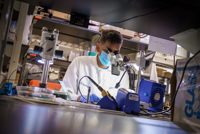 Student researcher in the lab