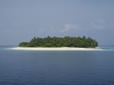Dhakandhoo