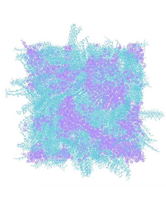 Simulation of P3HT:PCBM thin-film