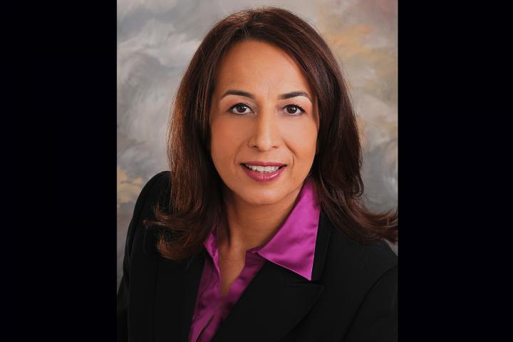 Masooda Bashir, University of Illinois at Urbana-Champaign, News Bureau