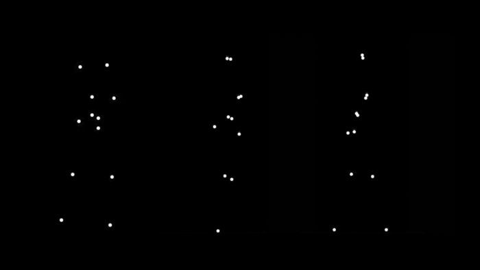 Dopamine Involved in Recognizing Emotions