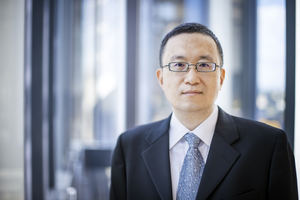 Prof. LLiyan Yang