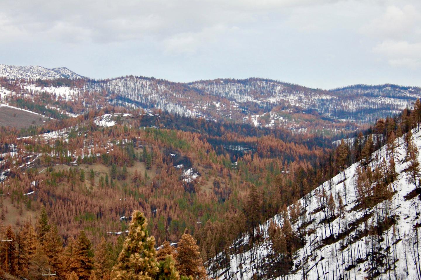 Canyon Creek Complex wildfire