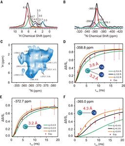 Characterization of 15NH3 adsorption behaviors on H-ZSM-5 by SSNMR.