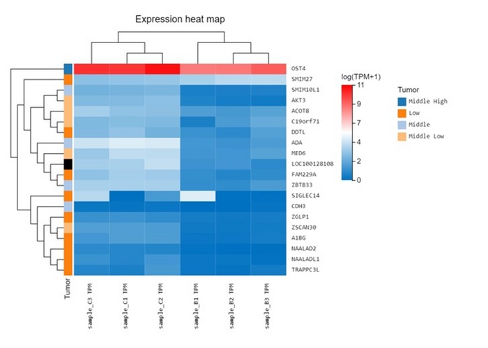 Dr. Tom Gene Expression Heat Map Feature