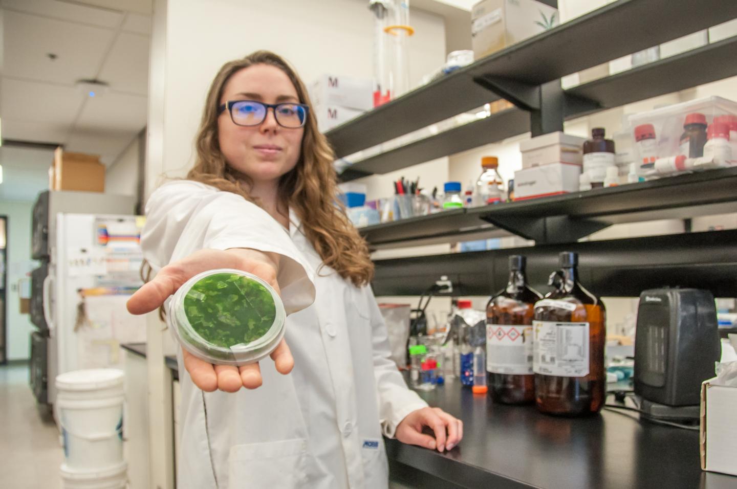 UBC Okanagan Researchers Discover Neurotoxin in Lake Winnipeg