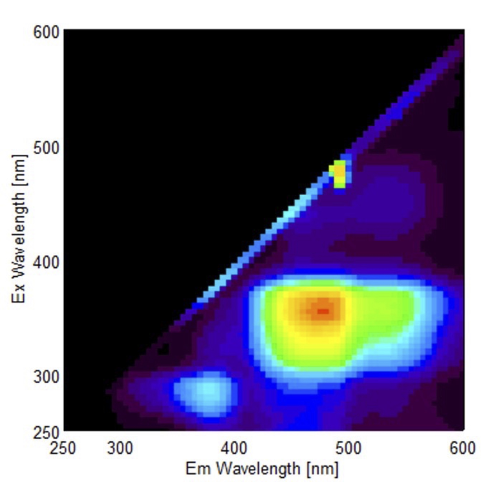 Fluorescence fingerprint of amyloid-containing bovine liver homogenate