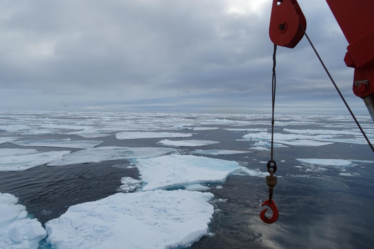 Newer PFAS Compound Detected for First Time in Arctic Seawater