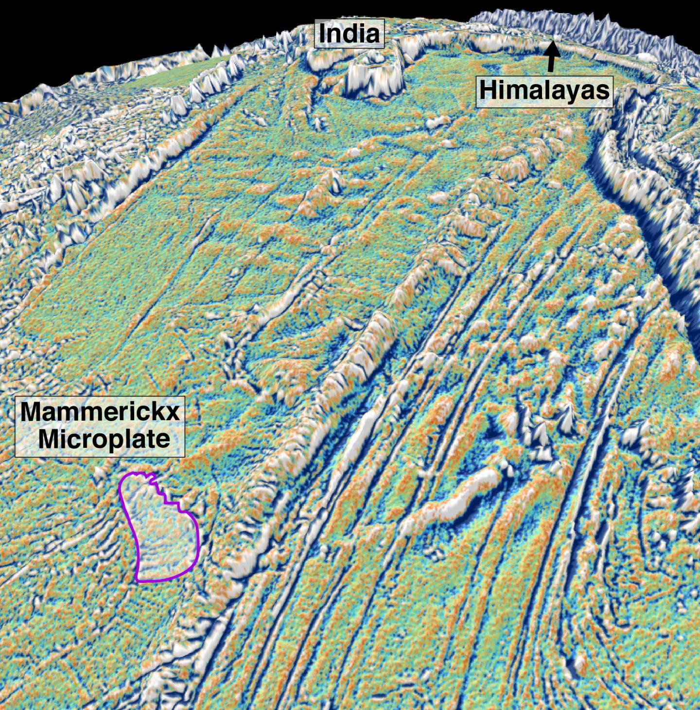 Mammerickx Microplate [IMAGE] EurekAlert! Science News Releases