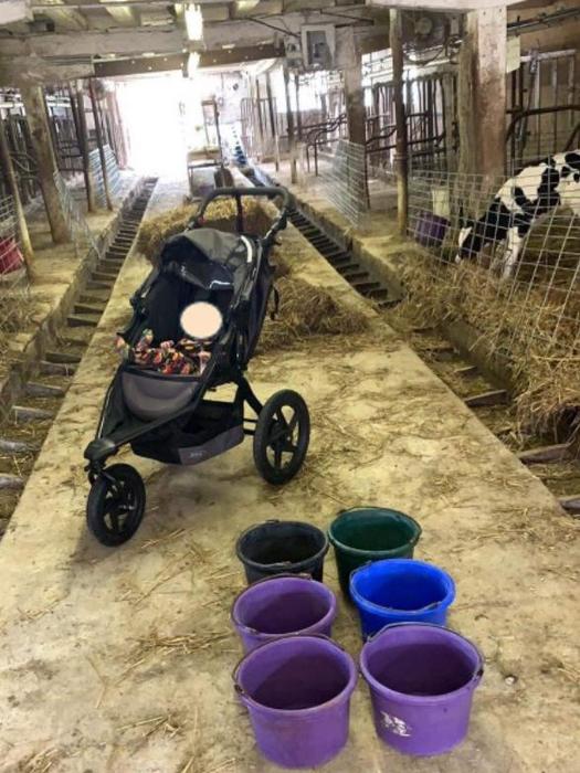 stroller in barn