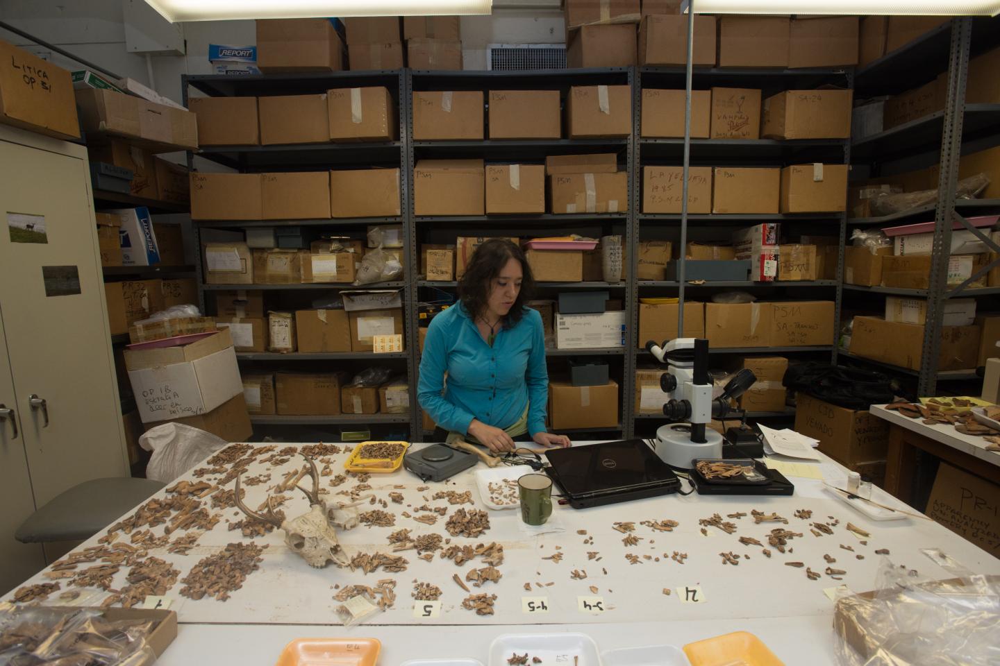 Sitio Sierra Remains (2 of 2)