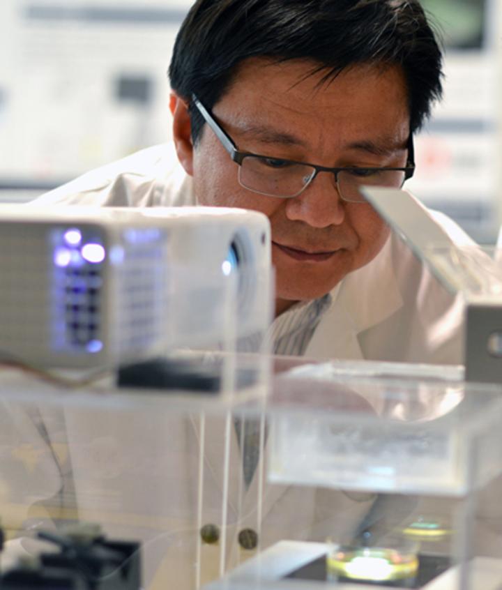 Better, Cheaper Bio-Ink May Be Used to Create Artificial Organs