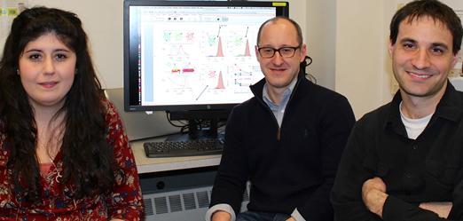 Researchers Make Illuminating Discovery