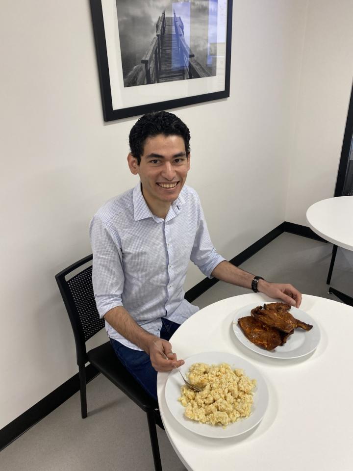 Mahmoud Alamir, Flinders University