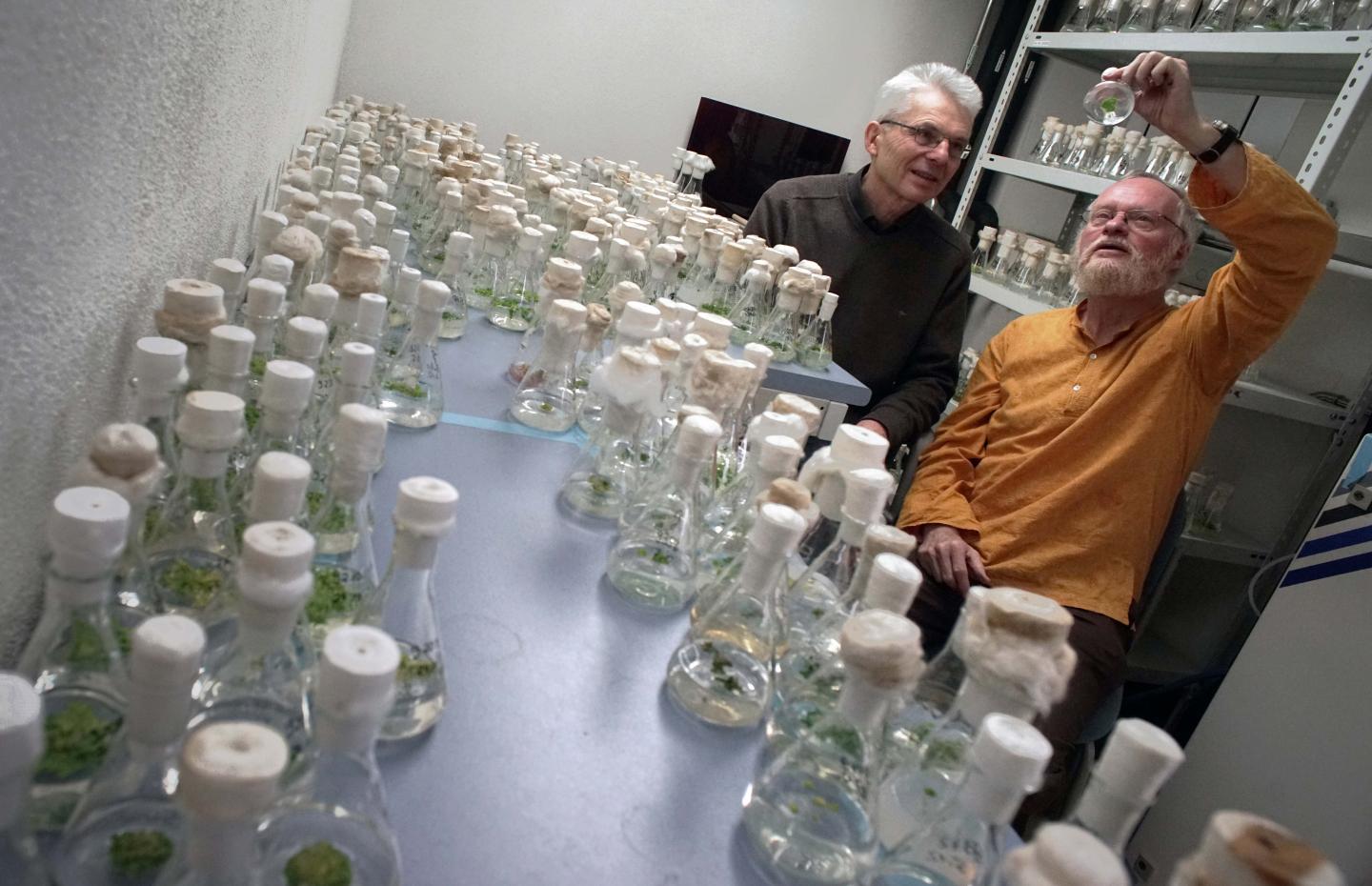 Jena Scientists and Collection of Duckweed