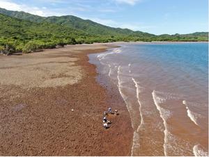 Fieldwork in Panama