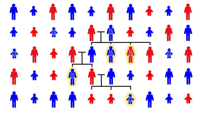 Parental genome sharing among siblings with autism