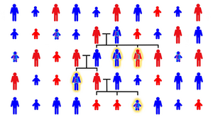 Parental genome sharing among siblings with autism