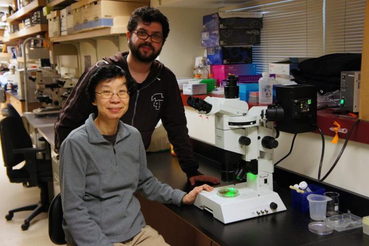 Neuron Cell Researchers