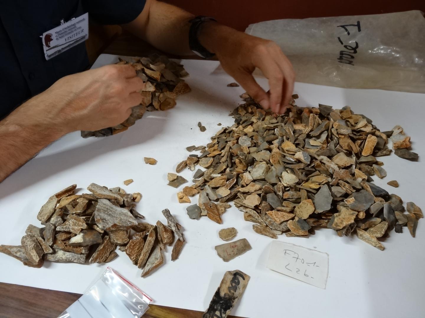 Examining material from the 1970s excavations