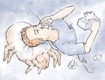 Little Bugs that Cause Big Allergies