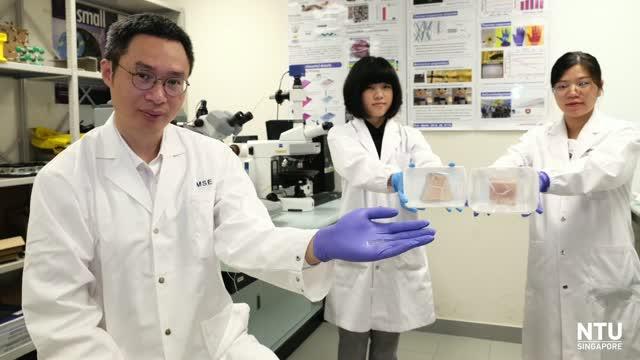 NTUsg scientists develop AI-powered electronic nose to sniff out meat freshness