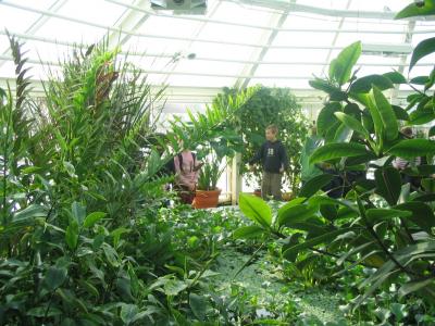 Researchers Say Children Need Horticultural Interventions