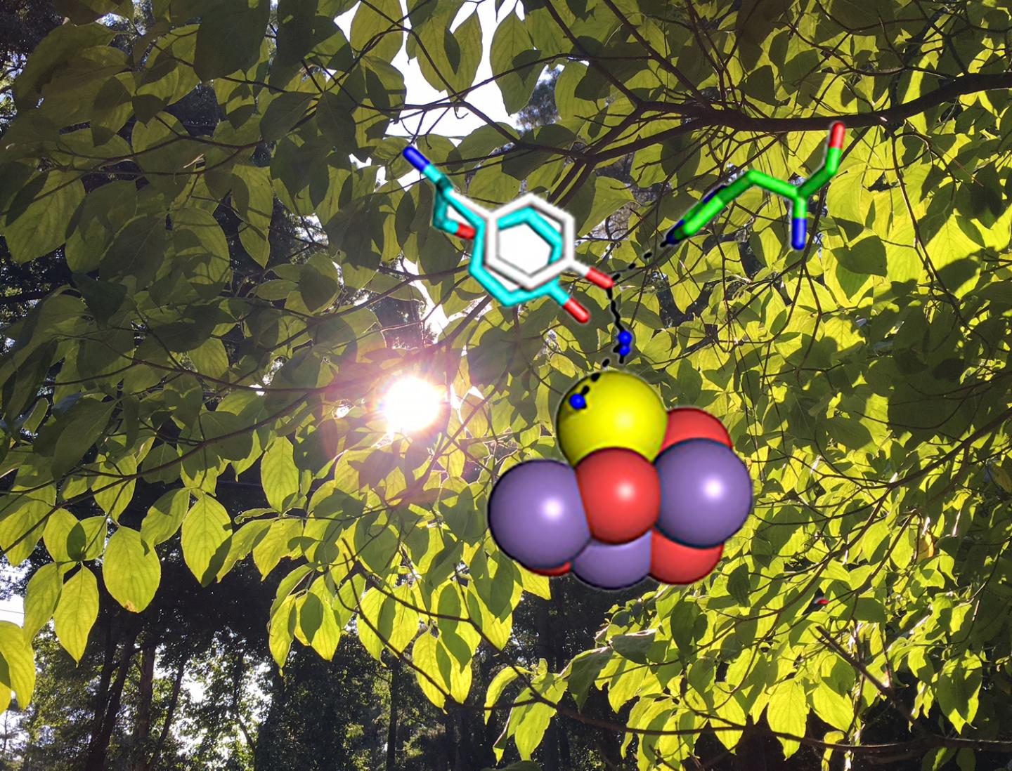 Oxygen Photosynthesis at the Hands of a Metal Cluster