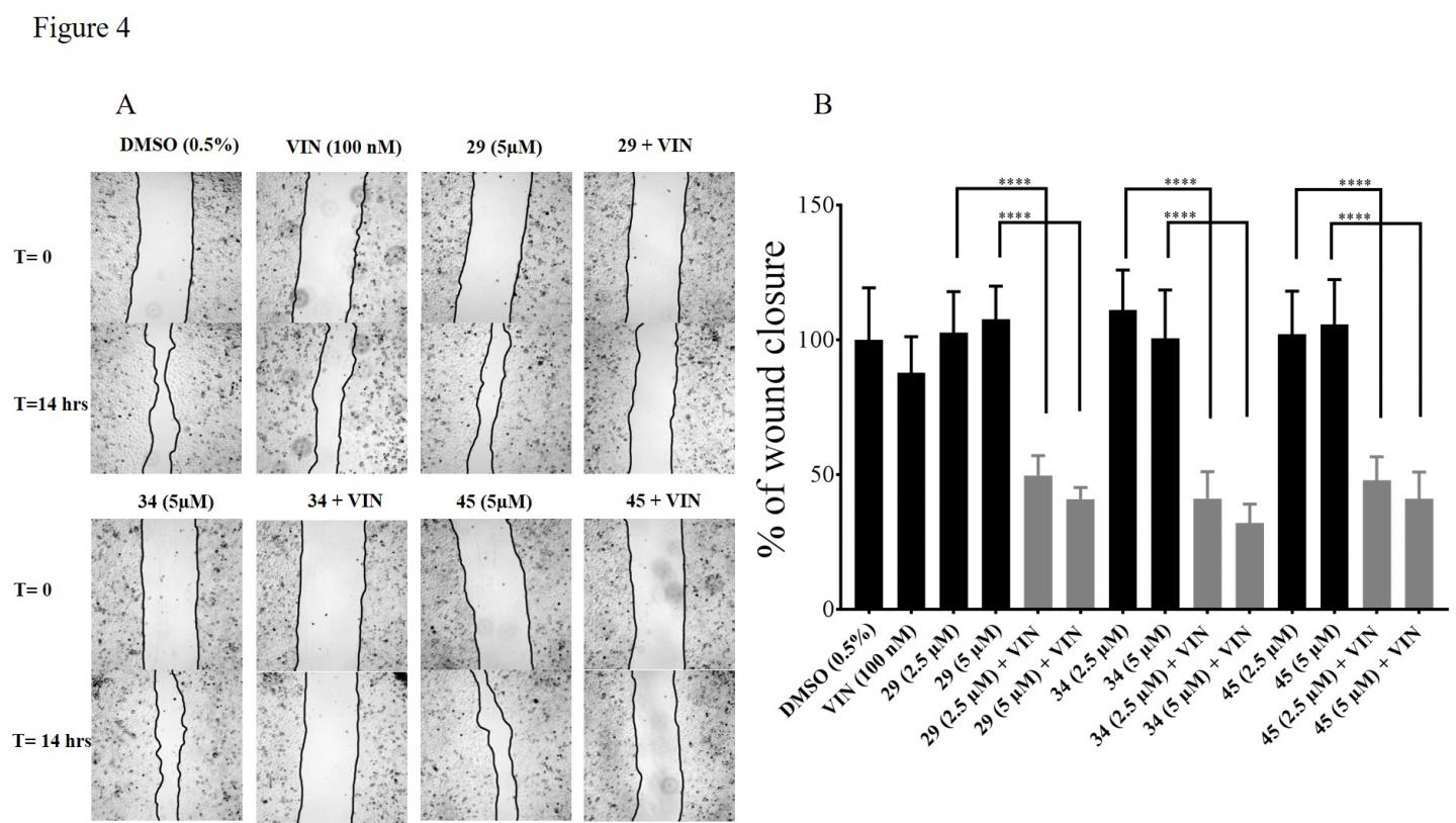 Chemo + Inhibitor Thwarts Potential Metastasis
