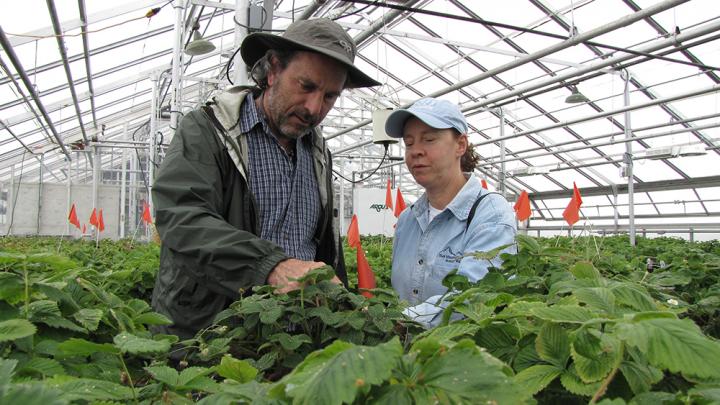 Tom Davis, University of New Hampshire