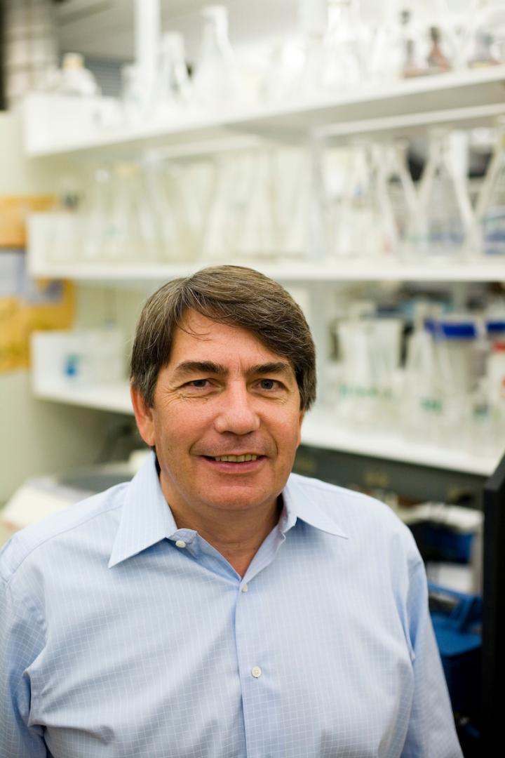 Sergei Mirkin, Tufts University