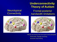 Underconnectivity Theory of Autism