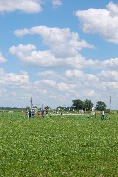 SoyFACE Carbon Dioxide Ring