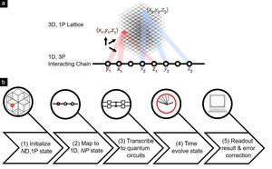 Topological quantum simulation