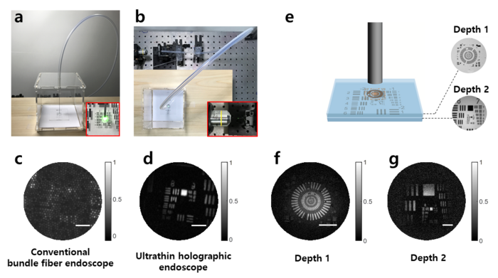 Figure 2 Image Eurekalert Science News Releases 