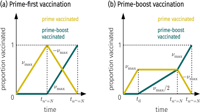 Vaccination strategy comparison