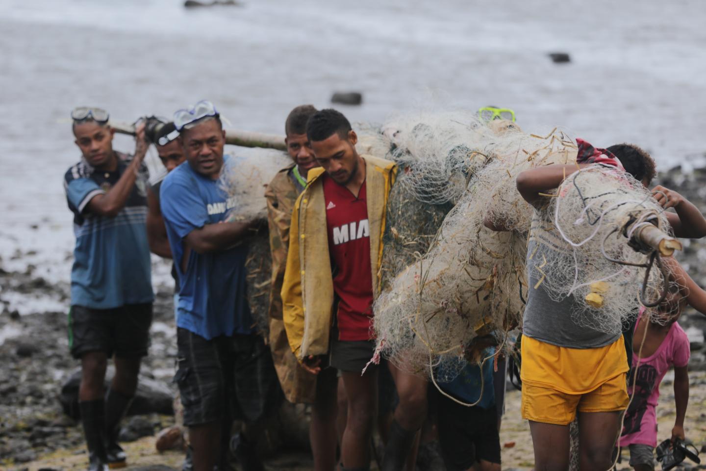 Fishers from Koro Island, Fiji, Hauling in the Catch after a Fish Drive during a Periodic Harvest