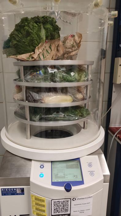 The "Setup Lab" shows the first step of the sample processing. The samples were purchased in grocery stores in Switzerland, then shipped frozen to the scientists. They were first freeze-dried (to remove water), and then extracted in the laboratory, before