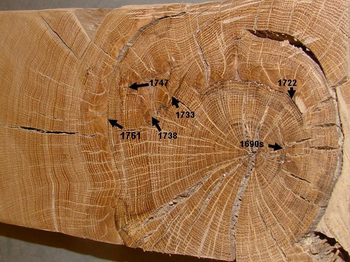 Tennessee Tree Ring