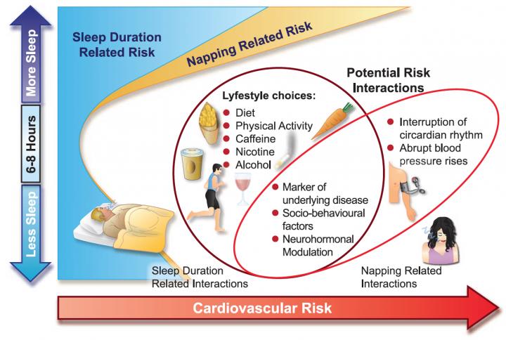 Too Much or Too Little Sleep Linked to Increased Risk of Cardiovascular Disease and Death