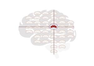 Schematic of brain with superimposed mitochondria