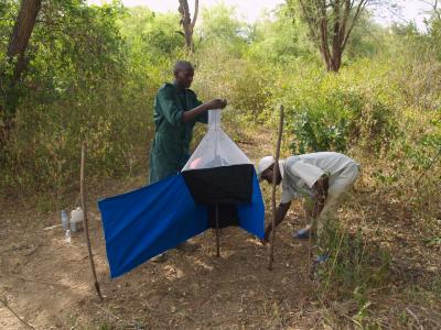 Safeguarding Public Health