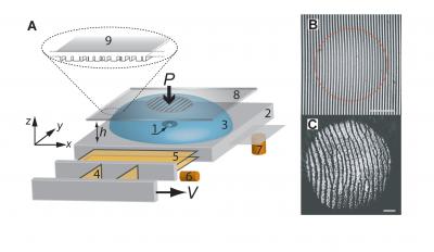 Why Fingerprints? (5 of 5)