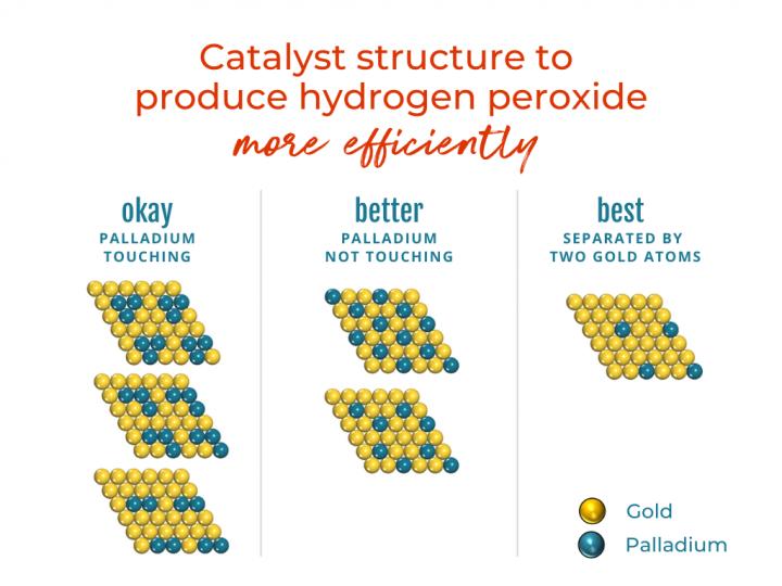 Graphic Illustration