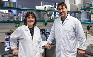 University of Barcelona team describes a mechanism for eliminating harmful cells from cancer treatment